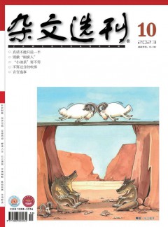 杂文选刊